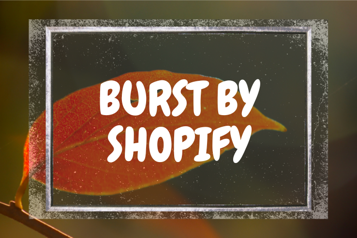 Burst By Shopify